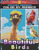 Mystery Mosaics Color by Number Beautiful Birds