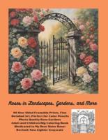 Roses in Landscapes, Gardens, and More