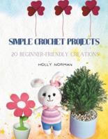 Simple Crochet Projects