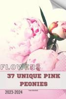 37 Unique Pink Peonies
