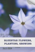 Bluestar Flowers, Planting, Growing