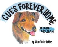 Cue's Forever Home