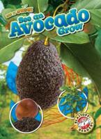 See an Avocado Grow