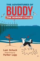 The Adventures of Buddy the Border Collie