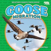 Goose Migration