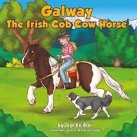 Galway the Irish Cob Cow Horse
