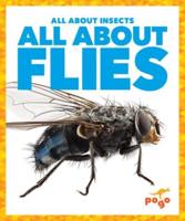 All About Flies