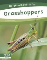 Grasshoppers. Paperback