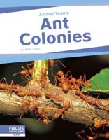 Ant Colonies. Paperback