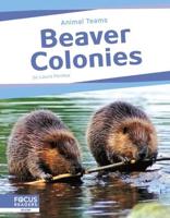 Beaver Colonies. Paperback