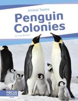Penguin Colonies. Paperback
