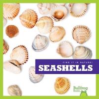 Seashells