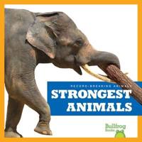 Strongest Animals