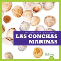 Las Conchas Marinas (Seashells)