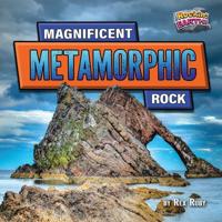 Magnificent Metamorphic Rock