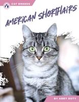 American Shorthairs. Paperback