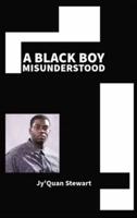 A Black Boy Misunderstood