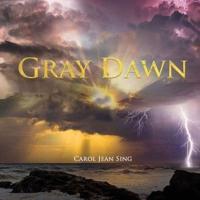 Gray Dawn by Carol Jean Sing