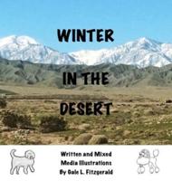 Winter in the Desert