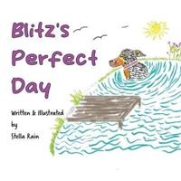 Blitz's Perfect Day