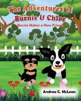 The Adventures of Burnie & Chloe
