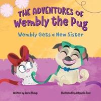 The Adventures of Wembly the Pug