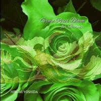 Green Roses Bloom for Icarus