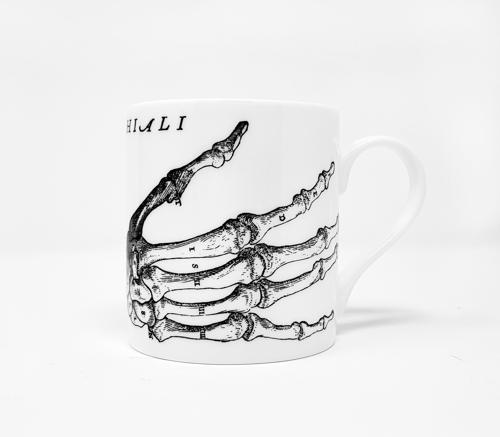 Wellcome Collection Anatomical Hand Mug (White)