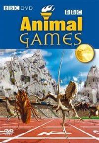 Animal Games