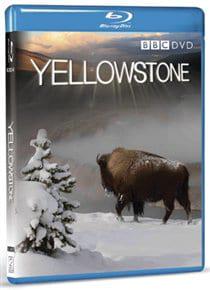 Yellowstone: Tales from the Wild