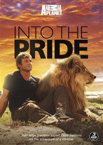 Discovery Channel: Into the Pride
