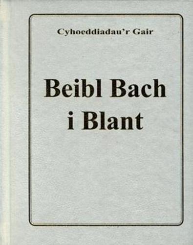 Beibl Bach I Blant (Lledr Gwyn)