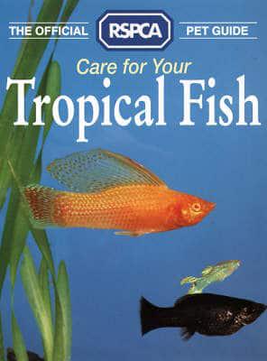 Care for Your Tropical Fish