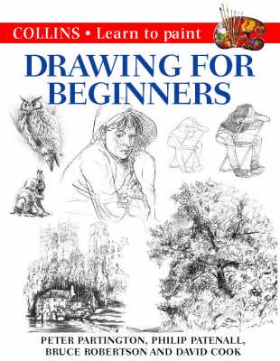 Collins Drawing for Beginners