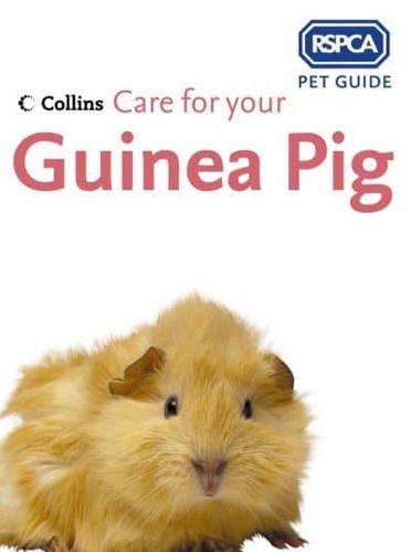 Care for Your Guinea Pig