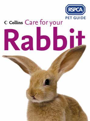 Care for Your Rabbit