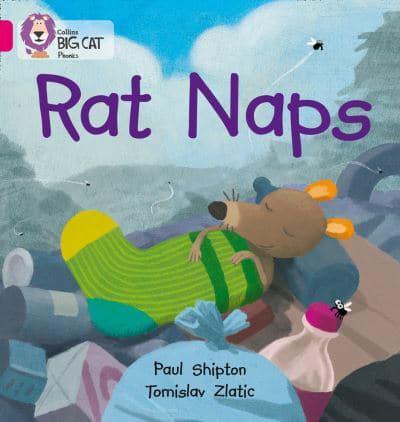 Rat Naps