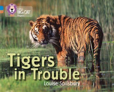Tigers in Trouble