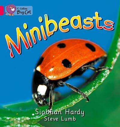 Minibeasts Workbook