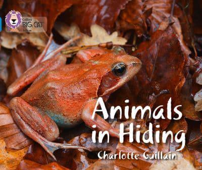 Animals in Hiding