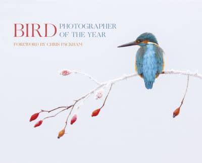 Bird Photographer of the Year. Collection 2