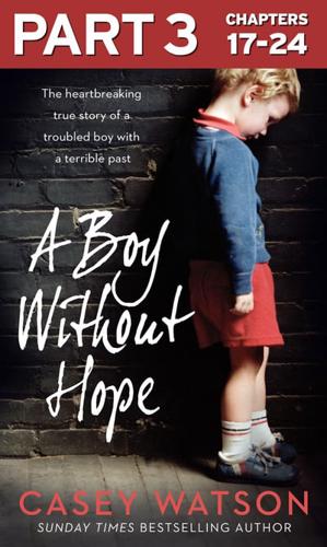 A Boy Without Hope. Part 3, Chapters 17-24