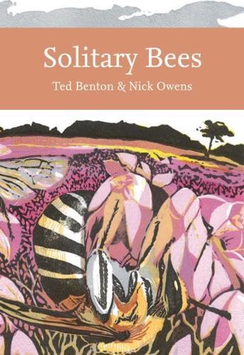 Solitary Bees