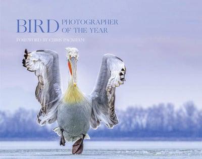 Bird Photographer of the Year. Collection 4