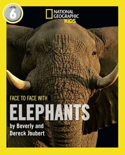 Face to Face With Elephants