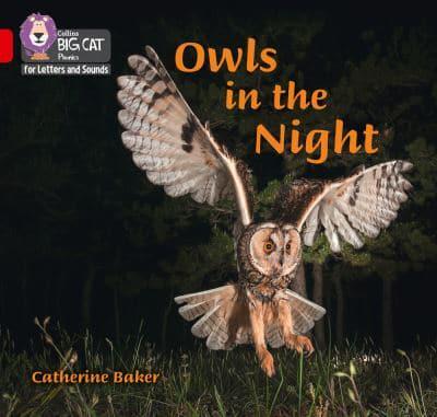 Owls in the Night