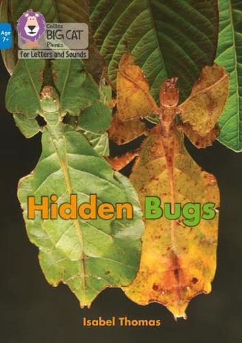 Hidden Bugs