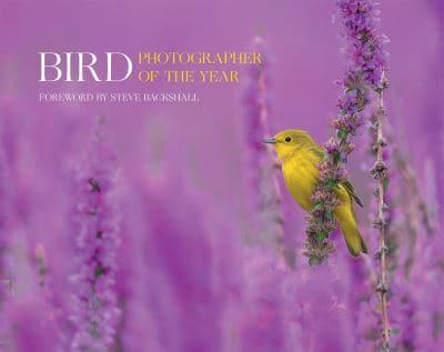 Bird Photographer of the Year. Collection 7