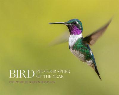 Bird Photographer of the Year. Collection 8