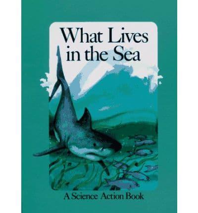 What Lives in the Sea